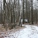 Randall Hunt Photo 23