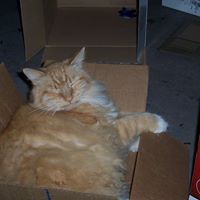 Debra Yager Photo 12
