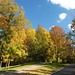 Sharon Jolly Photo 22