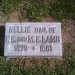 Nellie Lamb Photo 9