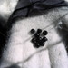 Grayson Samples Photo 4
