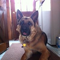 Patsy Dow Photo 3