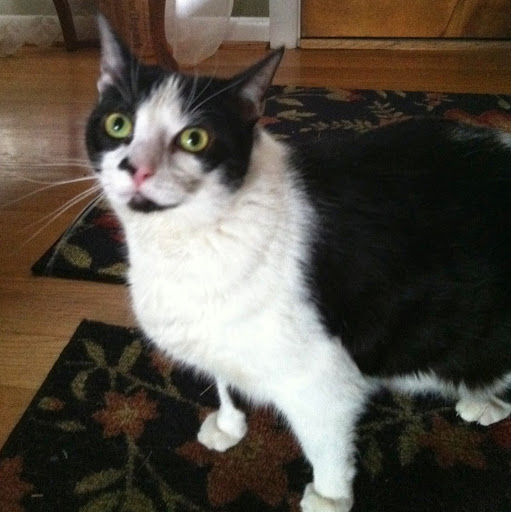 Susan Hamann Photo 5