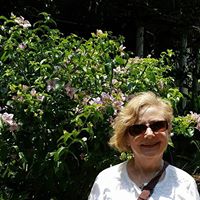 Ellen Schroeder Photo 19