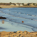 Ann Hedges Photo 12