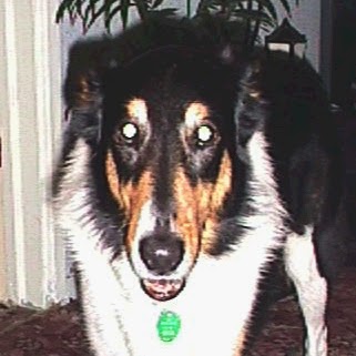 Brenda Norton Photo 25