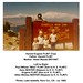 Paul Nester Photo 21