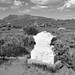 Elizabeth Vining Photo 13