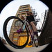 Mark Pasco Photo 17