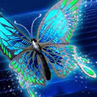 Sohel Chowdhury Photo 20
