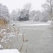 Robin Plummer Photo 20