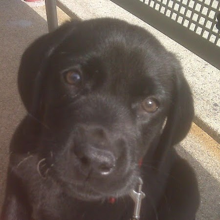 Sara Mccabe Photo 5