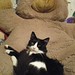 Teddy Archer Photo 3