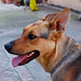 Kelly Tedesco Photo 11