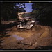 Alfred Stuart Photo 7