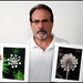 Anne Barone Photo 15