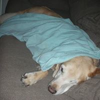 Floyd Plummer Photo 6