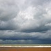 John Grau Photo 16