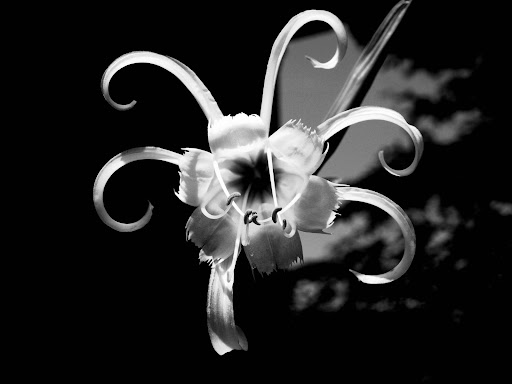 Jessica Johns Photo 24