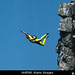 Russell Powell Photo 35