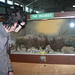Jeremy Shook Photo 8