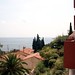Martin Tripp Photo 6