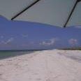 Deborah Harden Photo 22