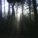 Mark Purvis Photo 25