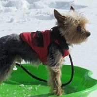 Prince Bailey Photo 5