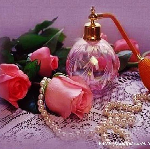 Elizabeth Khan Photo 30