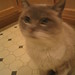 Amie Windsor Photo 5