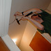 Casey Cable Photo 9