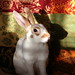 Vicki Palmer Photo 19