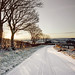 Yvonne Hedges Photo 8
