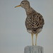 Gail Price Photo 12