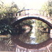 Rochelle Winters Photo 10