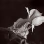 Chris Barfield Photo 32