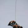 Steven Vargo Photo 10