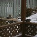 Judy Bird Photo 25