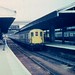 David Hastings Photo 39