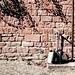 Scott Ewer Photo 6
