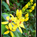 Ronald Flowers Photo 22