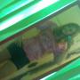 Mary Rapp Photo 25
