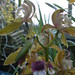 Tracy Swartz Photo 35