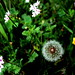 Denise Keen Photo 7