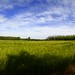 La Fields Photo 14