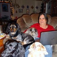 Robyn Swinehart Photo 6