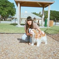 Amy Sun Photo 24