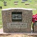 Kenneth Bell Photo 21