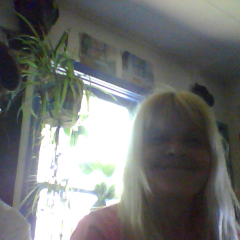 Debbie Meadows Photo 11